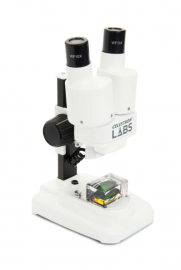 2022-06-24 20_33_31-‪44207_S20_front_left_570x380@2x.jpg (507×760)